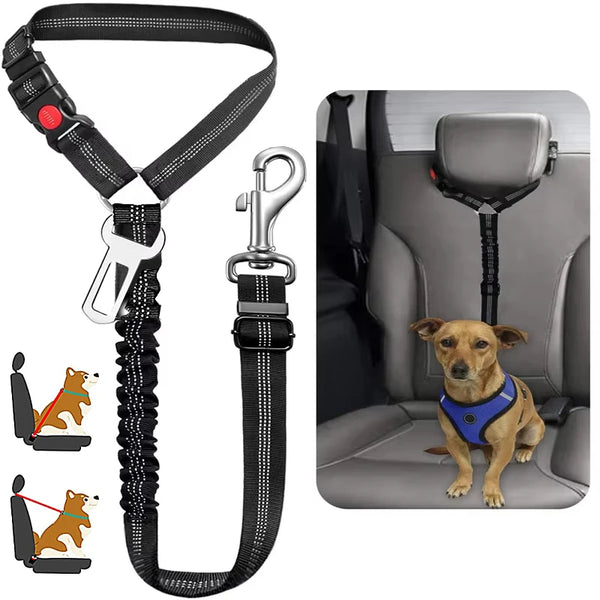 Arnés 2 en 1 para Perro — Cinturón de Seguridad Coche + Arnés Paseo | Ajustable Todas las Razas