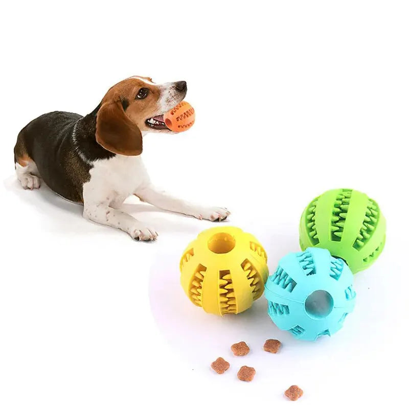 Pelota de Goma Dispensadora para Perros — Limpieza Dental + Snacks | 3 Tamaños