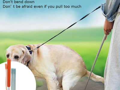 Recogedor Plegable Multifuncional para Perros — Cacas y Orina | Mango Largo, Sin Agacharse