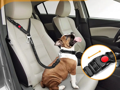Arnés 2 en 1 para Perro — Cinturón de Seguridad Coche + Arnés Paseo | Ajustable Todas las Razas
