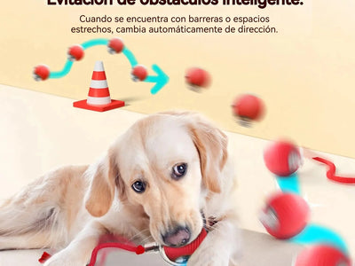 Pelota Interactiva Automática para Perros — Se Mueve Sola, Recargable USB | Versión 2026