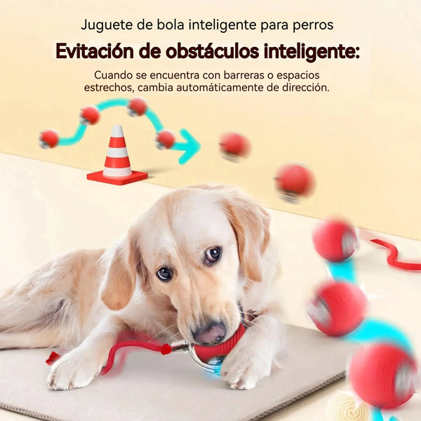 Pelota Interactiva Automática para Perros — Se Mueve Sola, Recargable USB | Versión 2026