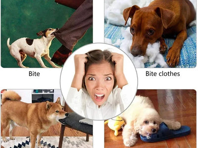 Pelota de Goma Dispensadora para Perros — Limpieza Dental + Snacks | 3 Tamaños