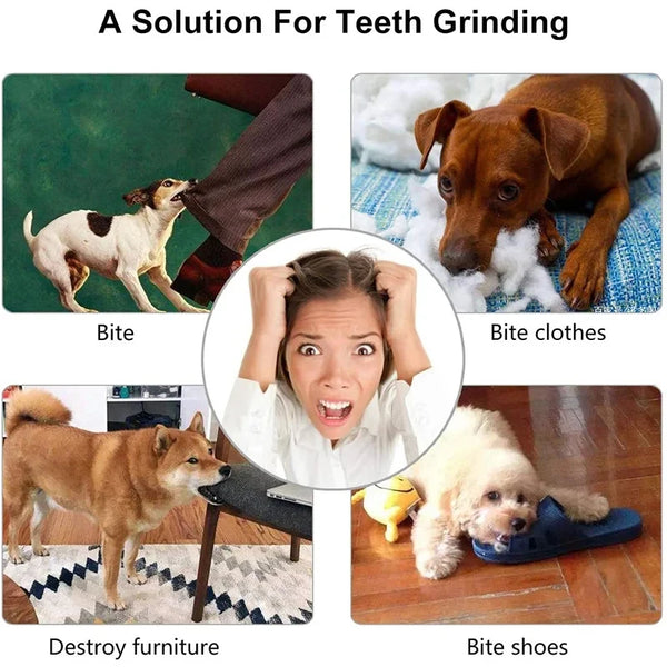 Pelota de Goma Dispensadora para Perros — Limpieza Dental + Snacks | 3 Tamaños