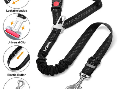 Arnés 2 en 1 para Perro — Cinturón de Seguridad Coche + Arnés Paseo | Ajustable Todas las Razas